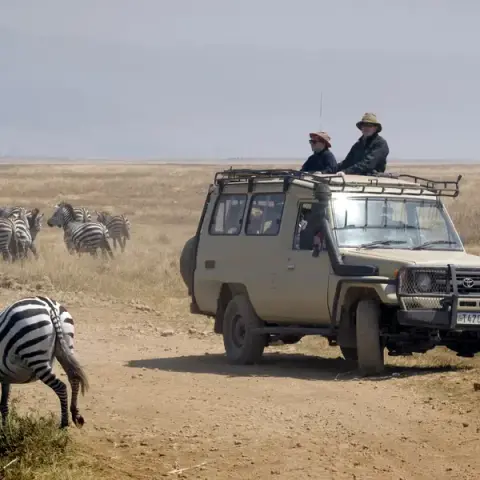 Tanzania Uncovered: Wildlife of the Serengeti & Ngorongoro Crater