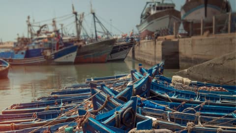 Morocco: Marrakech and the Coast