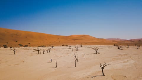 Journeys: Discover Namibia & Victoria Falls