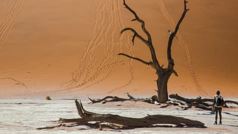 Dunes, Deltas & Falls Discoverer