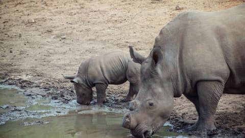 Southern Africa Overland Safari & Participation Camping