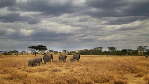 Masai & Tanzania Camping Safari