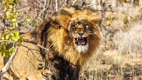 Kruger, Falls & Zimbabwe: Mineral Pools & National Parks