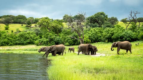 Zimbabwe & Botswana Safari: Victoria Falls & The Big Five