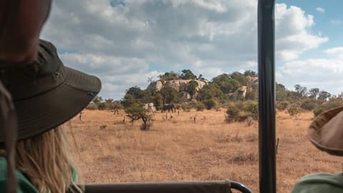 Southern Africa: National Parks of Zimbabwe & Kruger Wildlife Tracking