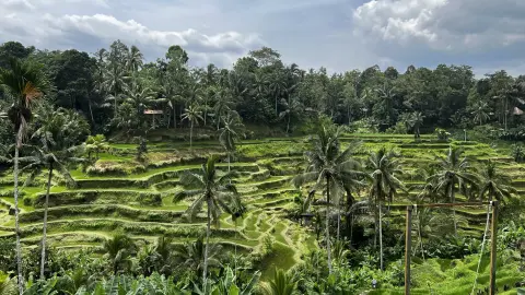 Bali’s Wild Heart: Soul, Surf & Spirit