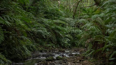 Active Japan: Kyoto & Okinawa Island Hopping