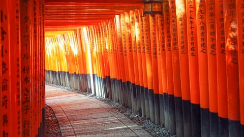 Active Japan: Kyoto to Tokyo Island Hopping