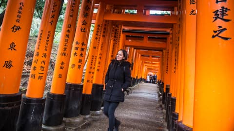 Epic Japan: Speed Trains & Street Food