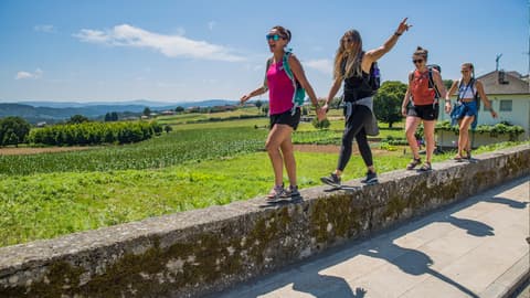 Walk the Camino de Santiago
