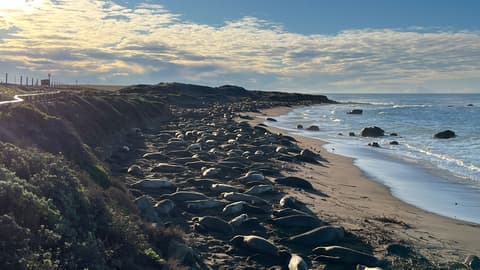 California Dreaming: Yosemite, Death Valley & Coastal Camping