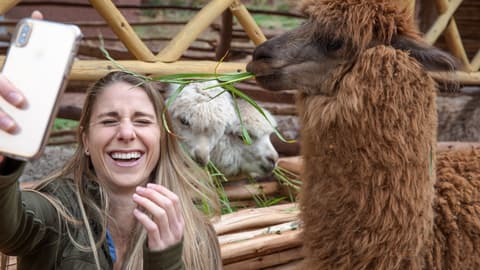 Inca Adventure: Cusco, Machu Picchu & the Best Views Ever