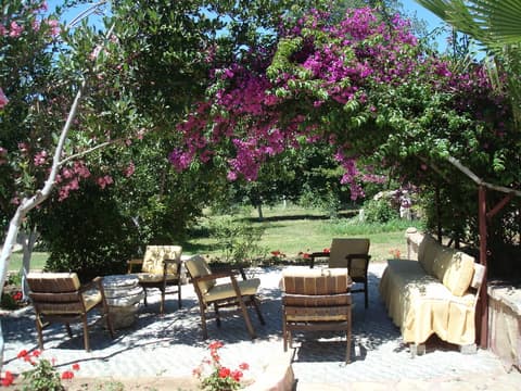 Neptun Hotel, General view