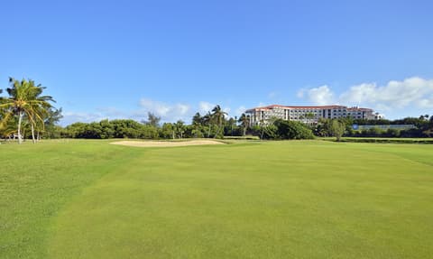 Melia Las Americas, General view