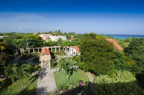 Hotel Los Cactus, General view