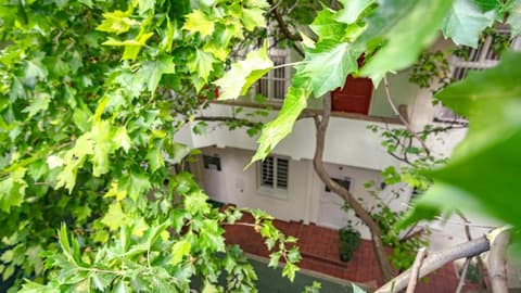 Easy Star Hotel, General view