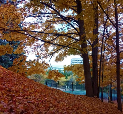 Pan Pacific Toronto, General view