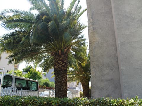 Katija Apartments, Lobby