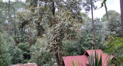 Encino House Hotel Boutique, Room