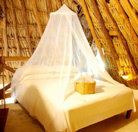 Casa Las Tortugas, Room