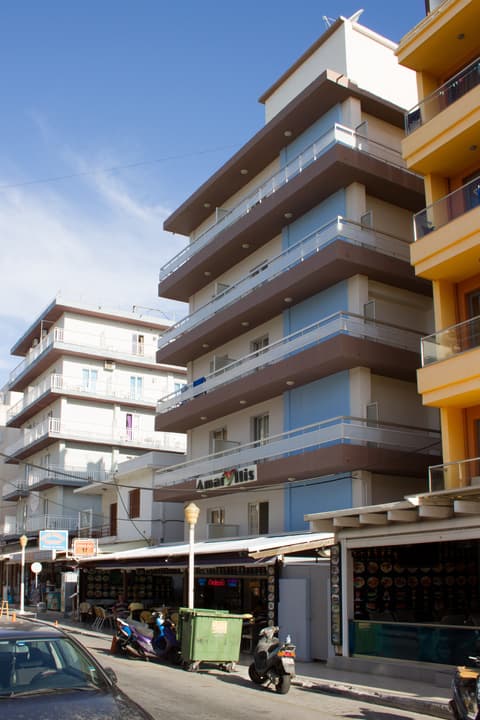 Amaryllis, General view