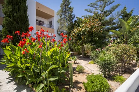 Zodiac Apartamentos, Terrace