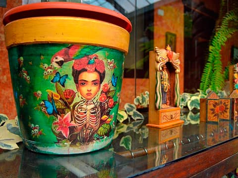 Andean Wings, General view