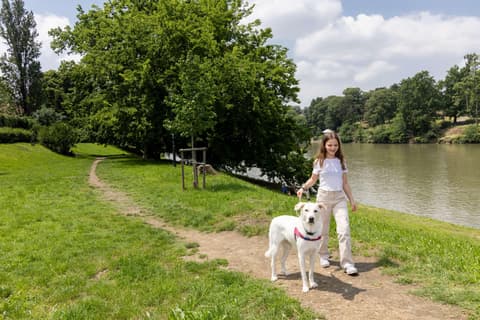 Best Western Hotel Crimea, General view