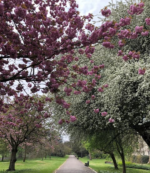 Lancaster Hall, General view