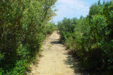 Porto Puddu, General view