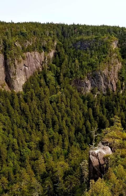 Beach Street Inn, General view