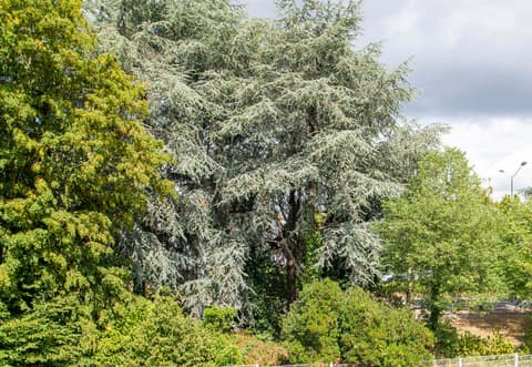 B&B Hôtel Nantes Parc Expos La Beaujoire, General view