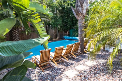 Antrim Collection, General view