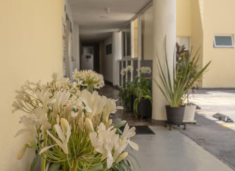 Hotel Emperador, General view