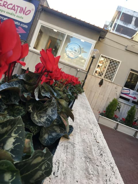 Morra's Home, General view