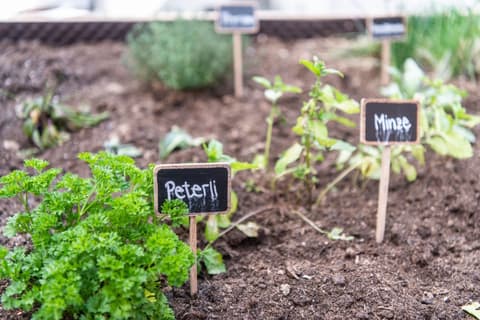 Hotel Restaurant La Tgoma, General view