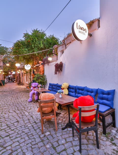 Livan Hotel Deluxe, General view