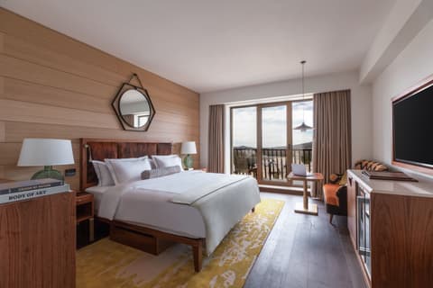 Viceroy Kopaonik Serbia, Room