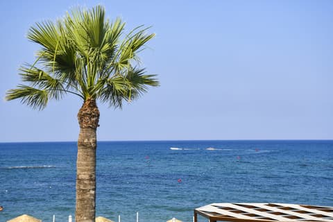 Mimoza Beach Hotel, General view