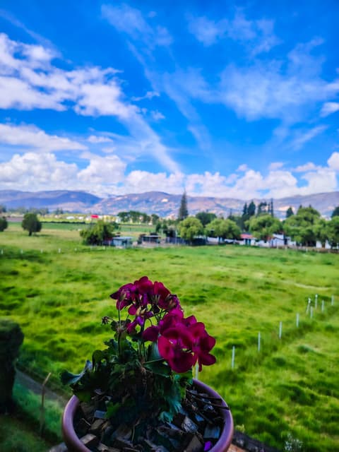 Hotel Tartar, General view