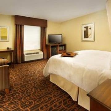 HAMPTON INN & SUITES SELMA-SAN ANTONIO-RANDOLPH AFB TEXAS, 