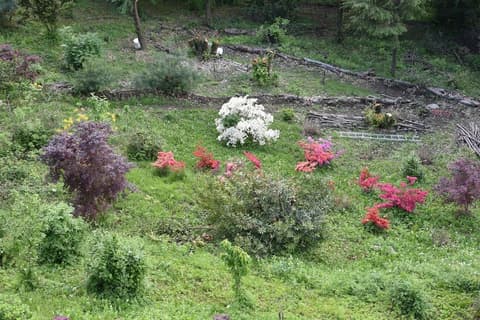 BATTLE OF BRITAIN HOTEL, 