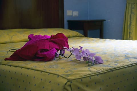 ALBERGO FILIPPESCHI, 