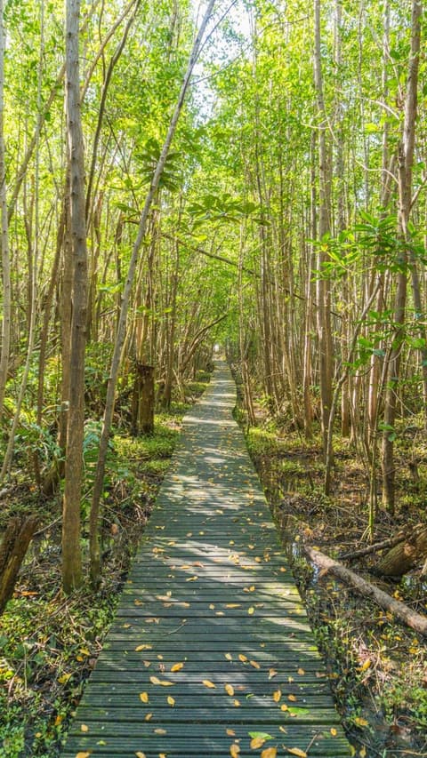 Residence Les Cayalines, 