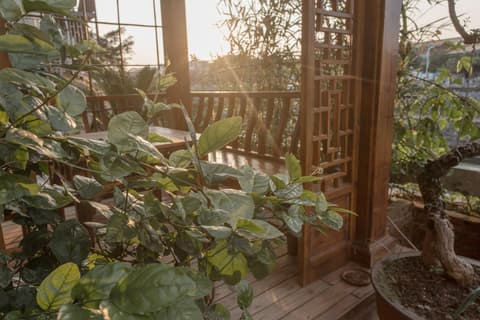 Zen Tea House Seven Stars Park, 