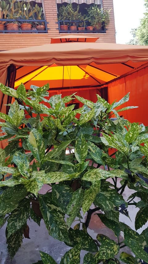 Bed Rho Fiera - Milano Galeazzi, 