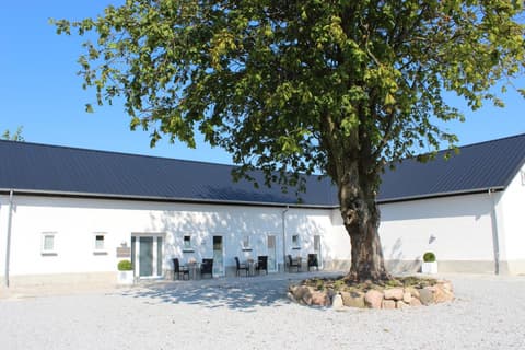 272 Bed & Breakfast, 