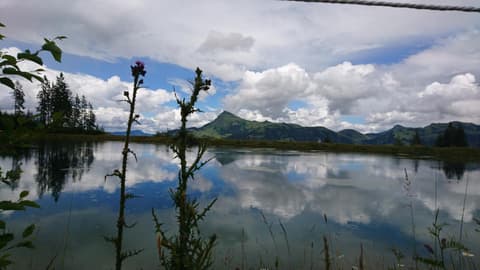 Hotel Garni Zimmermann, 