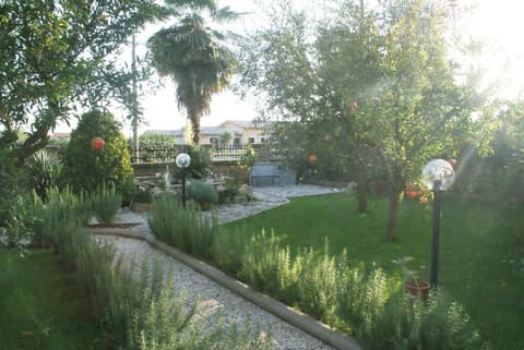 Bed&Breakfast degli ulivi, 