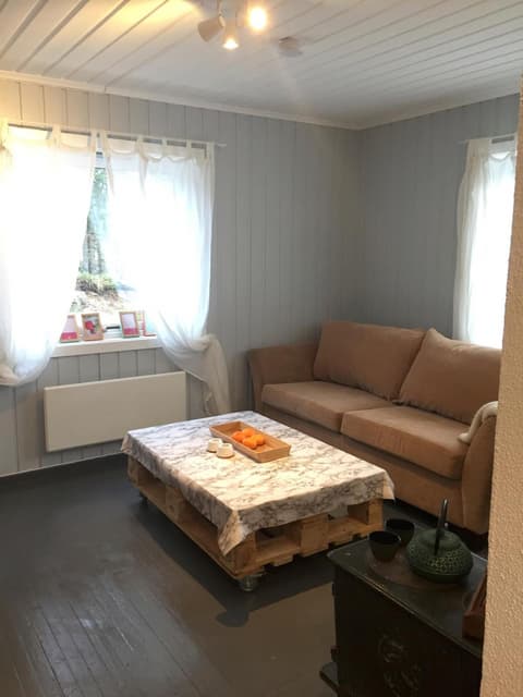 Koselig Hytte i Hemsedal, 